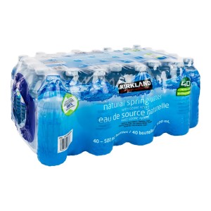 Kirkland Signature Natural Spring Water